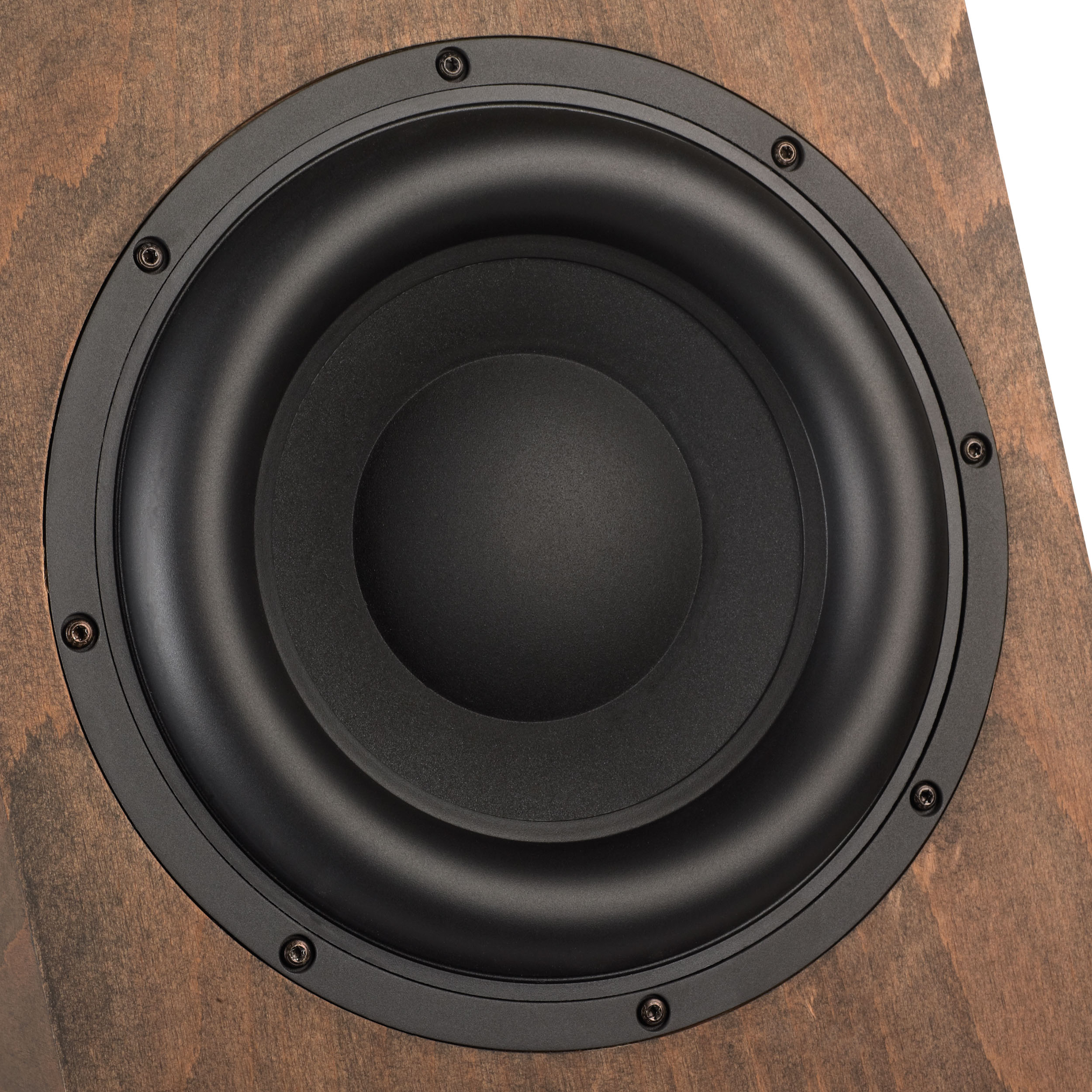 Timbo-X Bass Bausatz – Bild 3