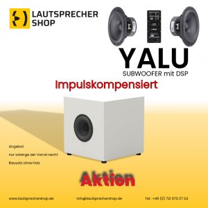 Yalu Subwoofer mit DSP Aktion